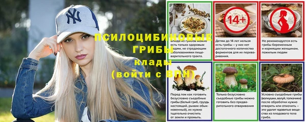 дмт Алагир