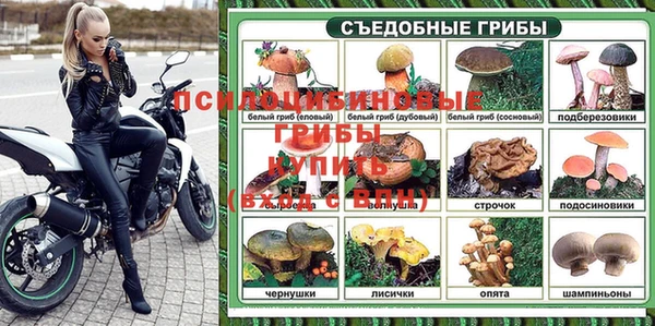 твердый Апатиты
