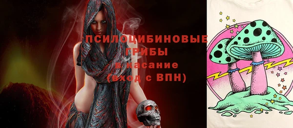 гашиш Новодвинск