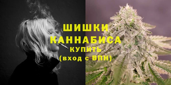 гашик Нефтекумск