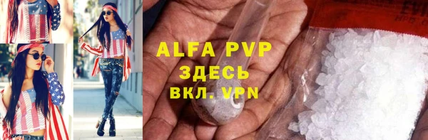 ALPHA-PVP Новозыбков