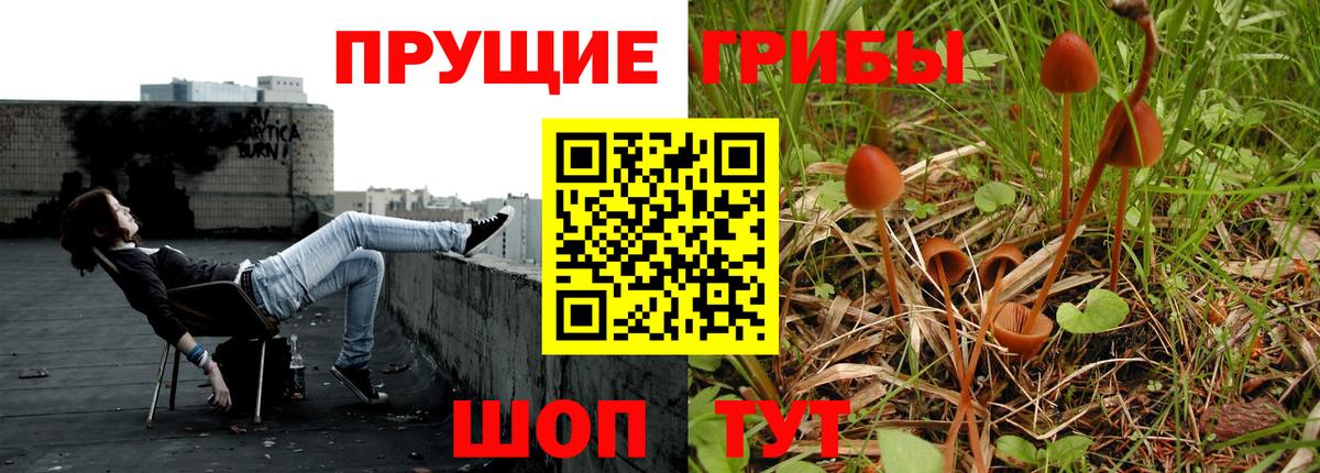 Псилоцибиновые грибы Magic Shrooms  Стерлитамак  где продают   Псилоцибиновые грибы Psilocybe 