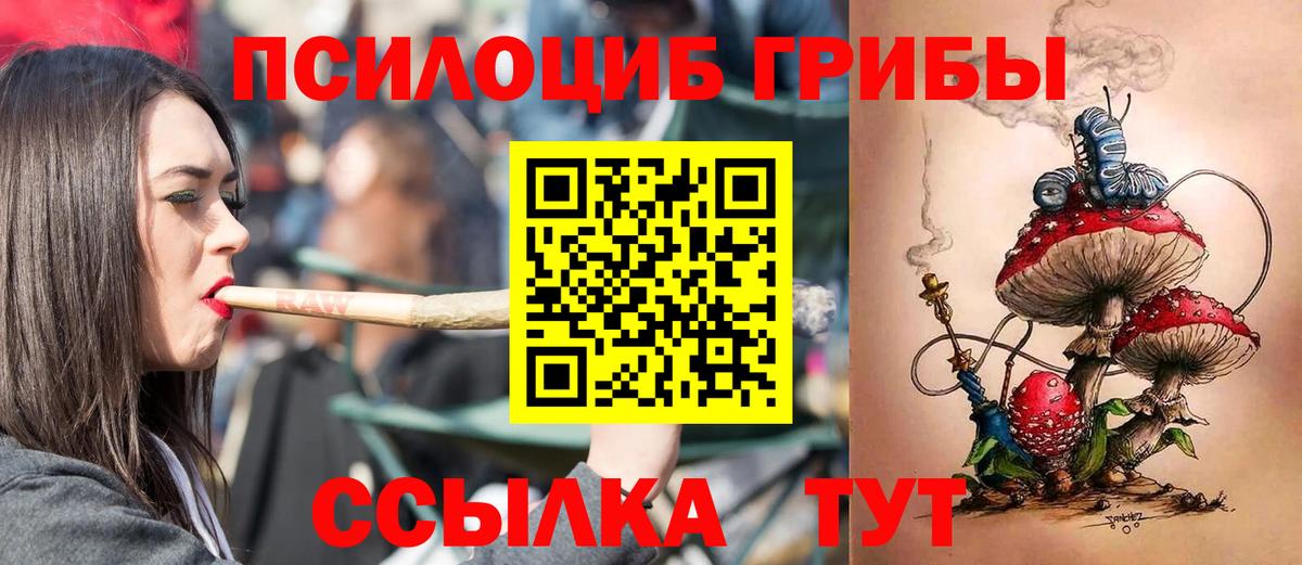 наркотики  Вход с VPN  Стерлитамак  Псилоцибиновые грибы MAGIC MUSHROOMS 