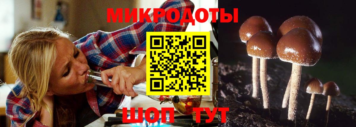 Псилоцибиновые грибы ЛСД Стерлитамак